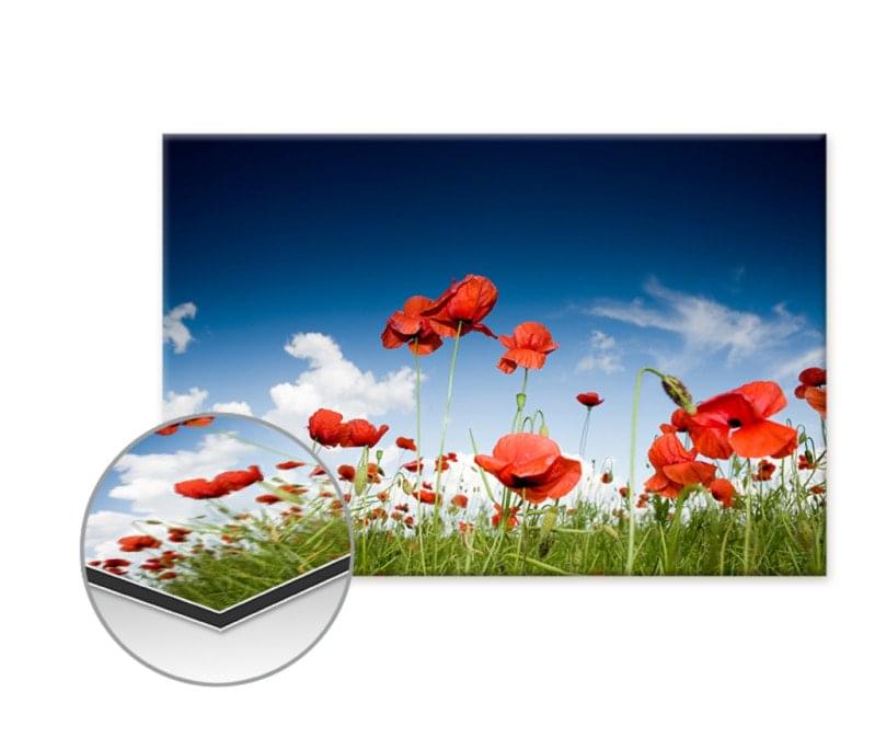 Poster auf Alu-Dibond 50 x 75 Quer