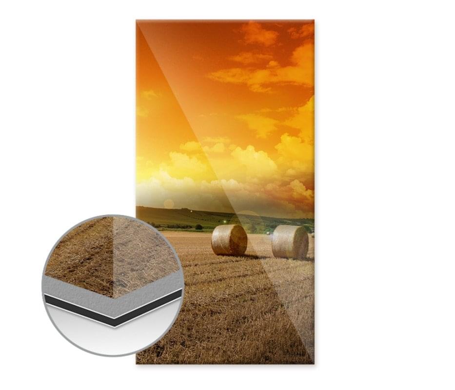 Poster auf Alu-Dibond hinter Acryl 60 x 20 Hoch