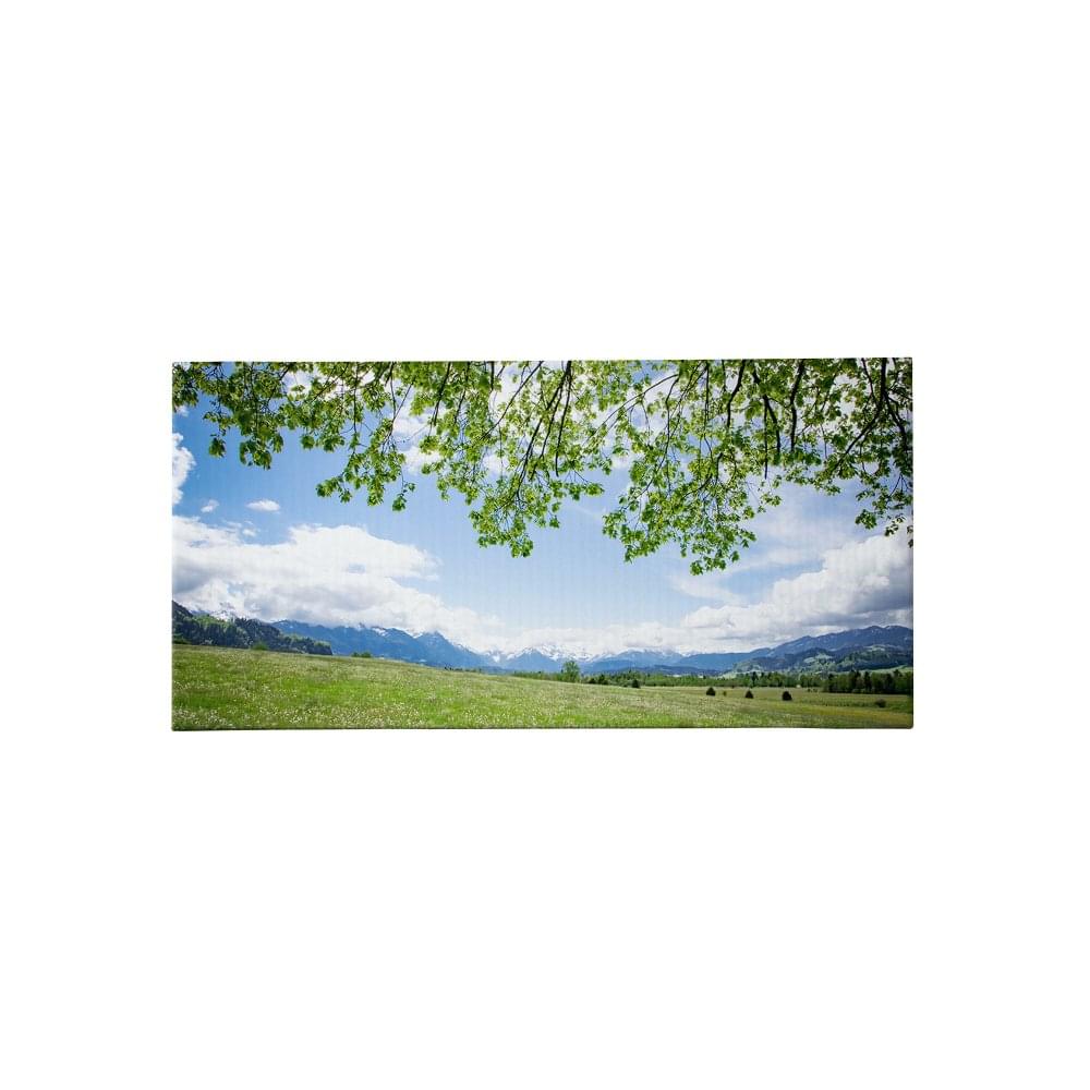 Leinwand 30 x 60 Quer