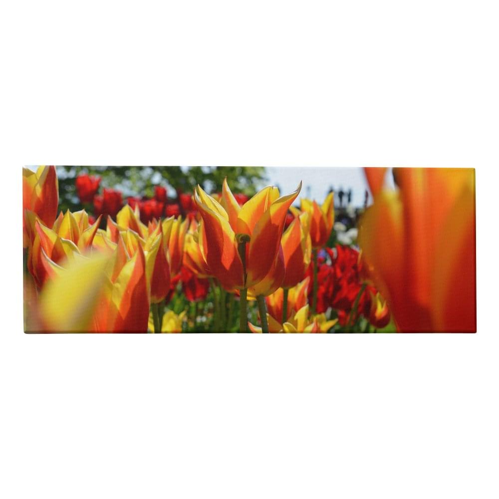 Leinwand 30 x 90 Quer
