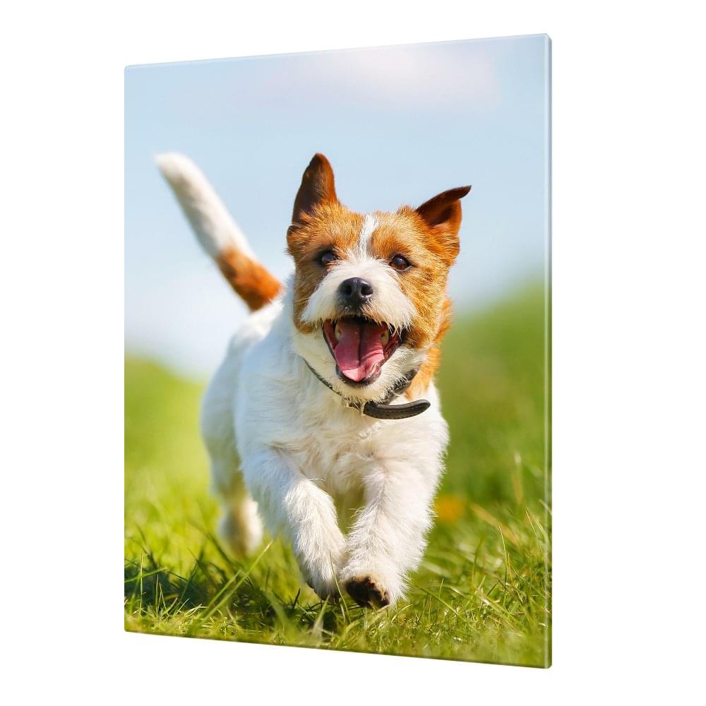 Leinwand 90 x 60 Hoch